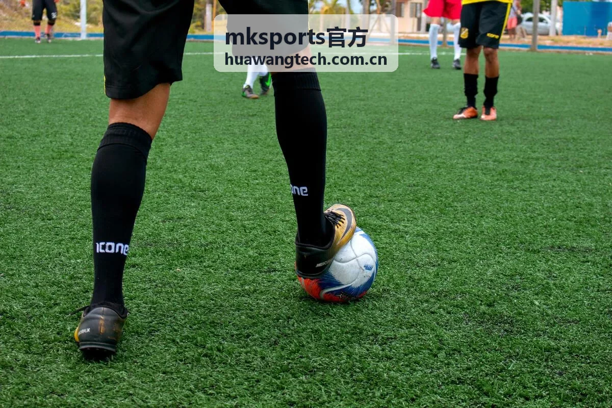 mksports官方企业健康管理项目